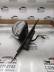  SPECCHIO SPECCHIETTO RETROVISORE DX JAGUAR XF E11011474 C2Z19387 14PIN MC4