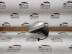 SPECCHIO SPECCHIETO RETROVISORE DESTRO 2014 FORD FIESTA 6PIN C1BB17682BD LD3