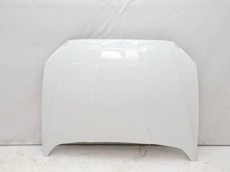COFANO ANTERIORE FORD MONDEO 2016 DS73F16612CN 2DA1