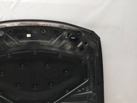 COFANO ANTERIORE BMW F30 F31 F32 F33 F36 2015 41007290944 7290944 2DA1‼