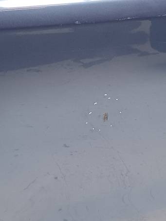 PORTA PORTIERA POSTERIORE DX SUBARU FORESTER IV 2016-2018 60409SG0019P 2CD2